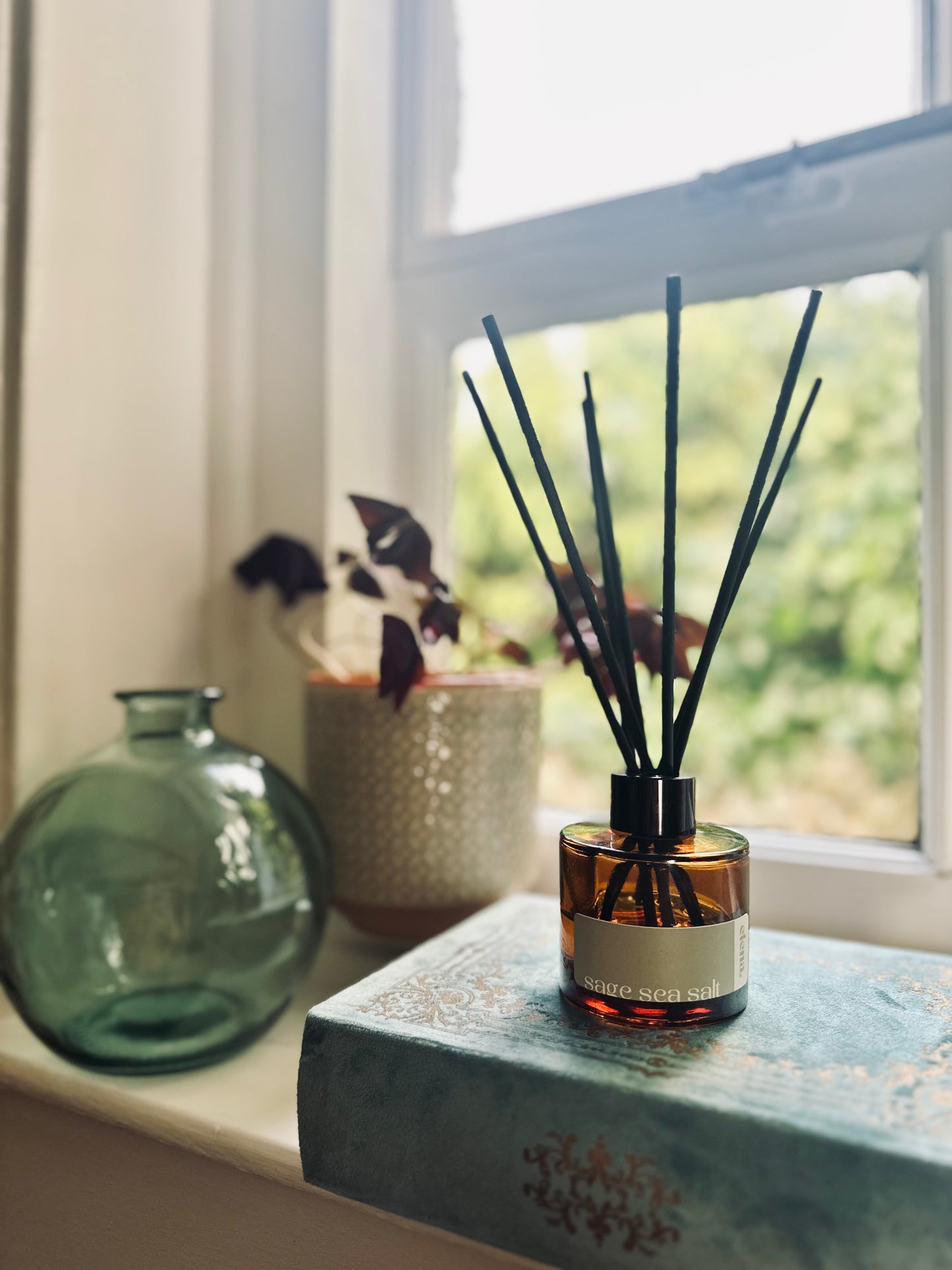 sage sea salt reed diffuser 100ml