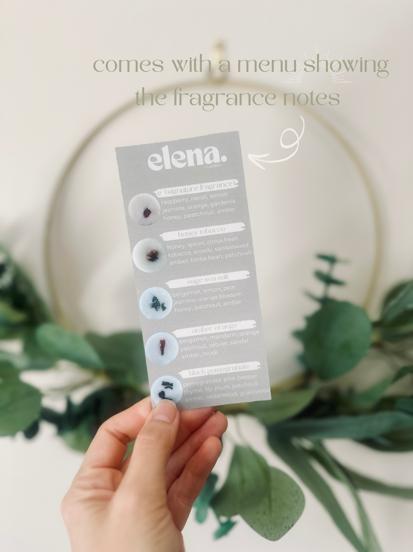 the elena discovery box