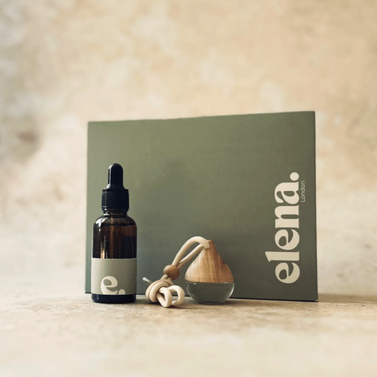 luxury car diffuser + refill gift set