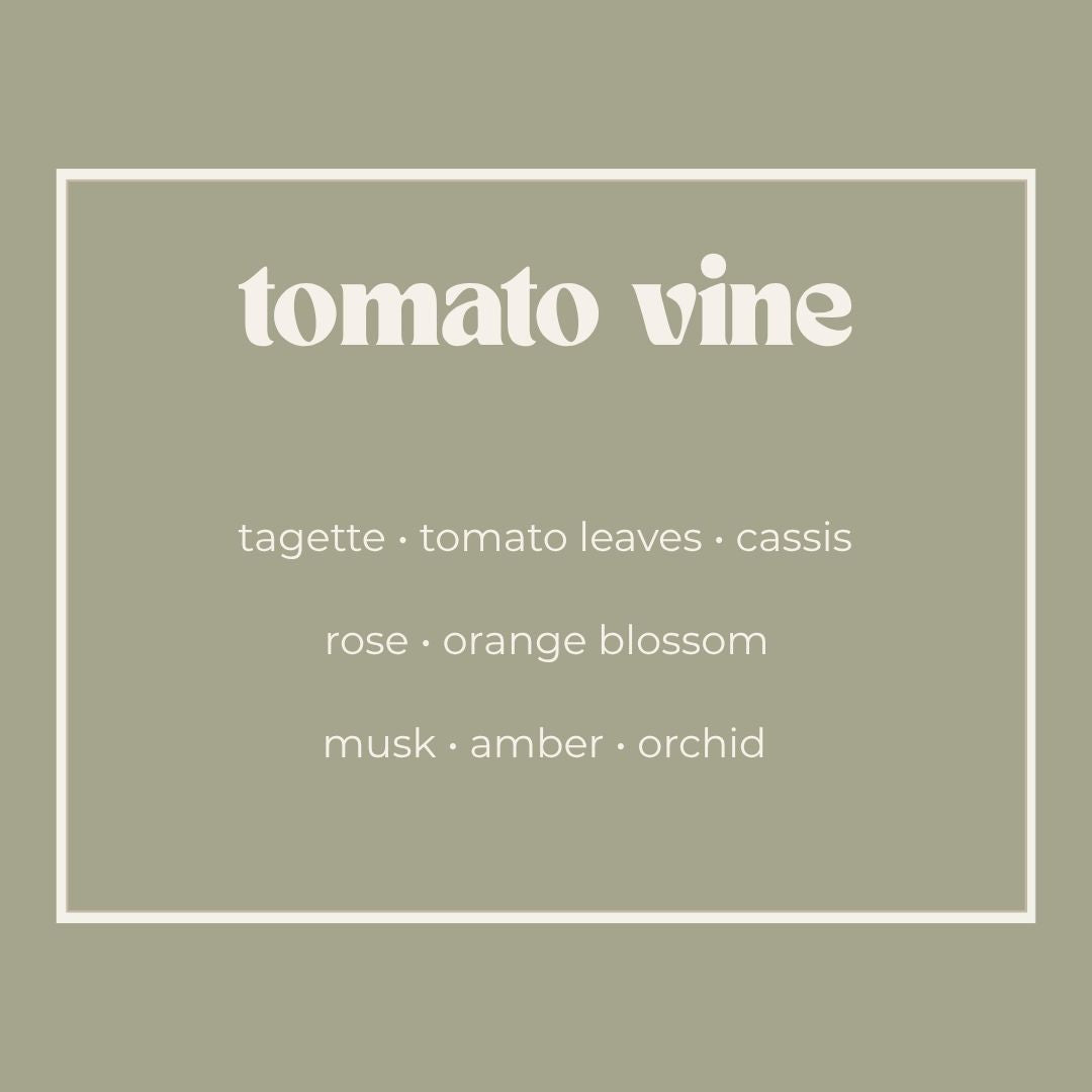 tomato vine reed diffuser 100ml