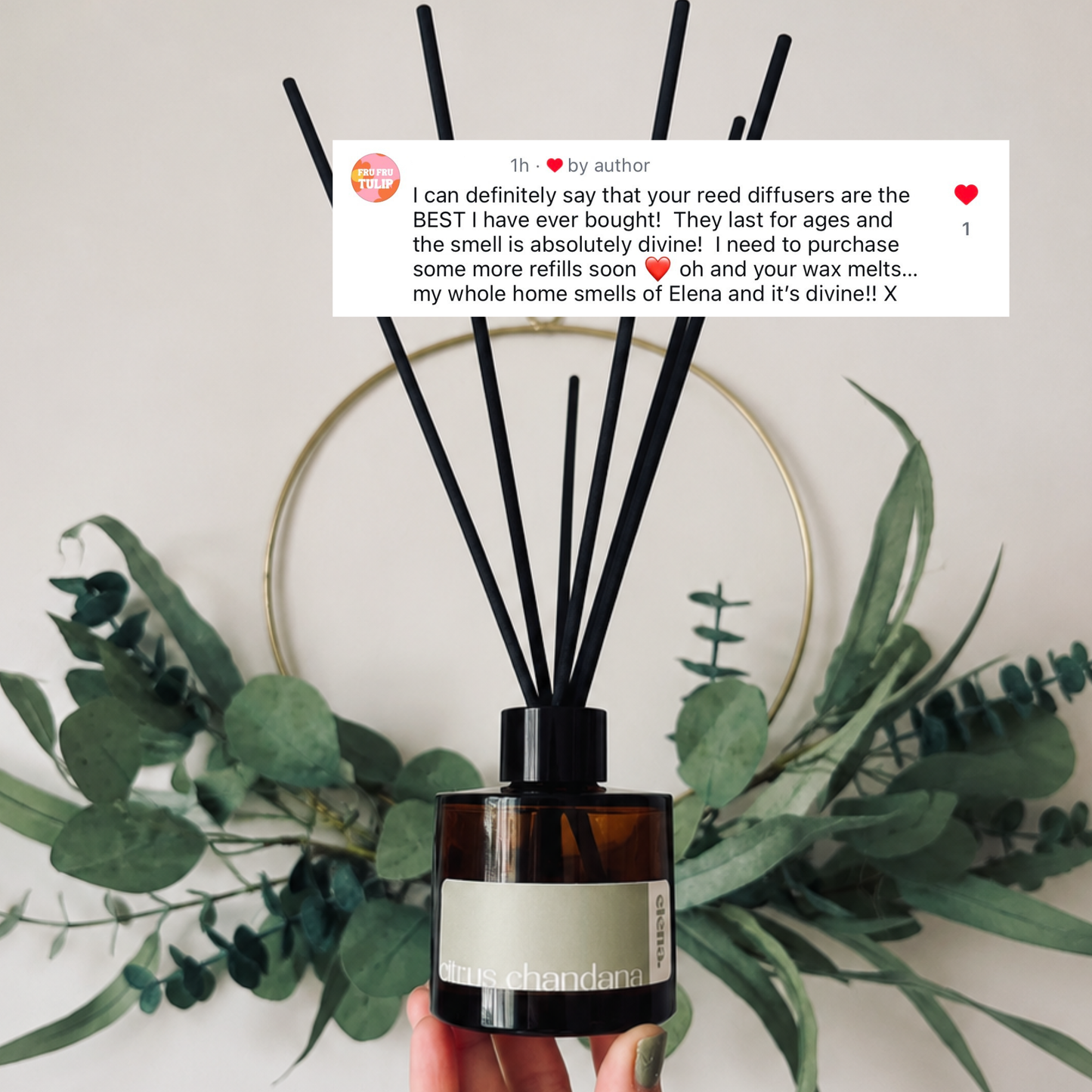 citrus chandana reed diffuser 100ml