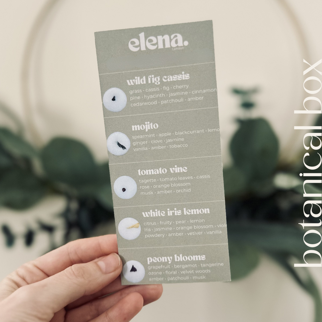 the botanical soy wax melt discovery box
