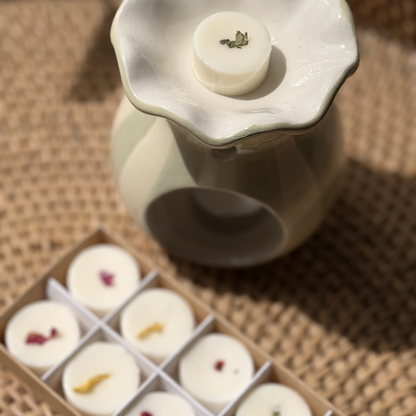 the elena soy wax melt discovery box