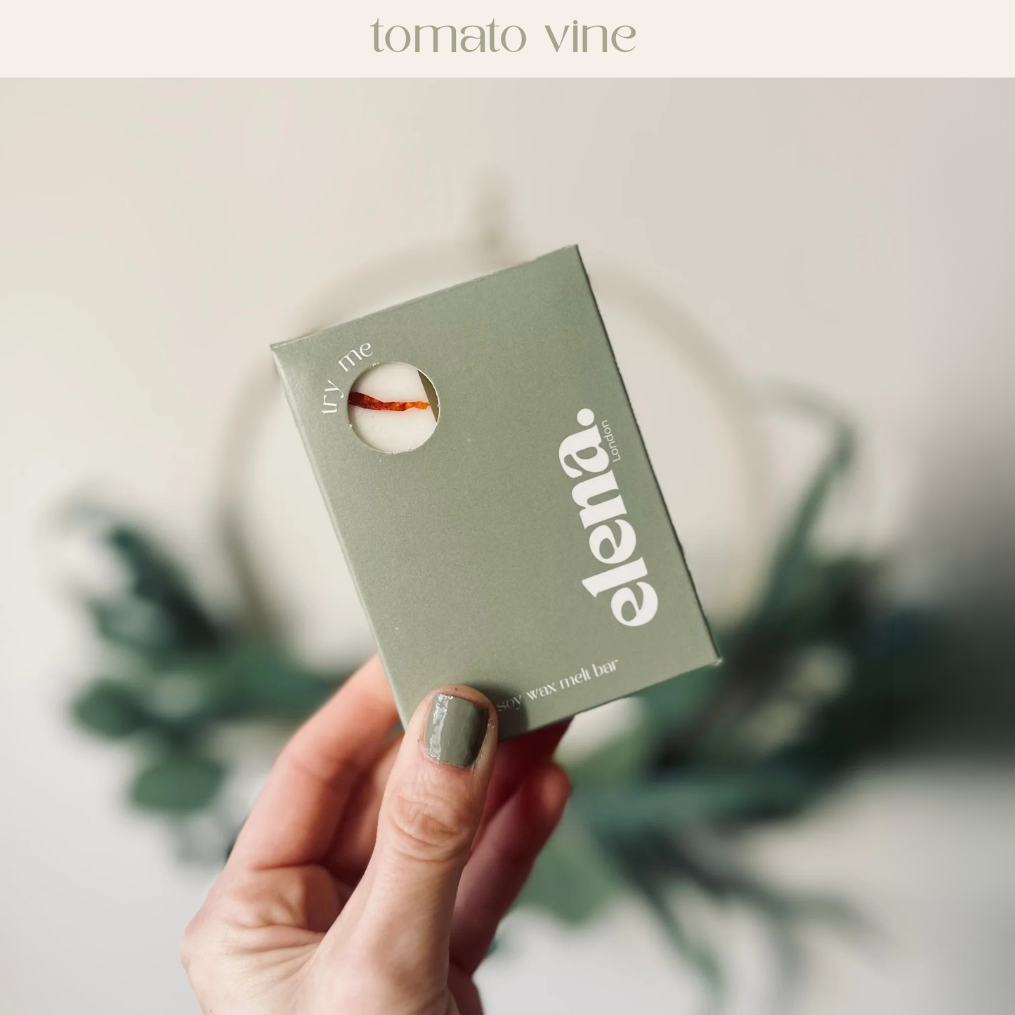tomato vine soy wax melt 80g
